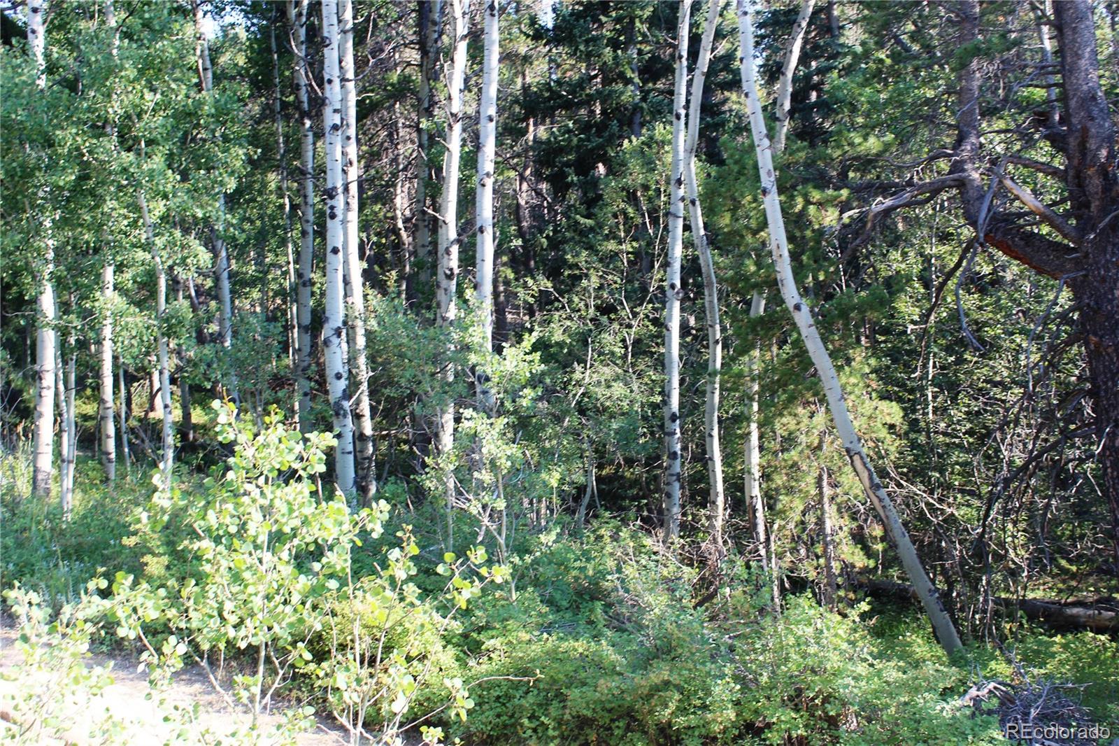 Lot 028 Sunflower Lane Black Hawk CO 80422