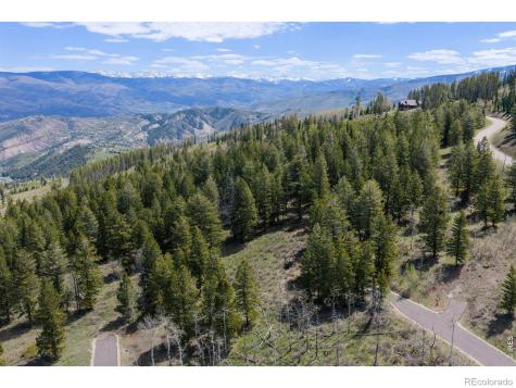 107 Cavesson Court Edwards CO 81632