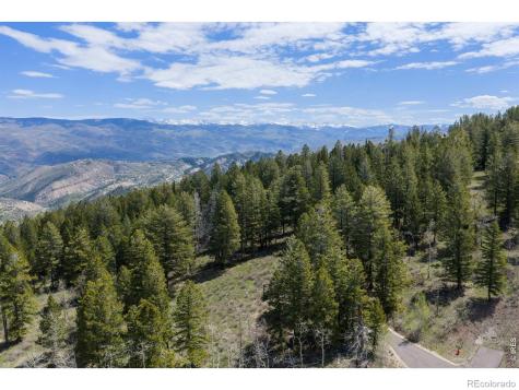 107 Cavesson Court Edwards CO 81632