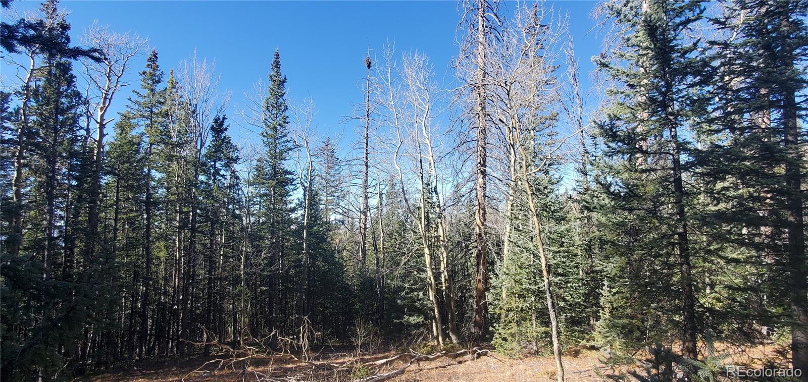 Lot 6581 Ackerman Road Fort Garland CO 81133