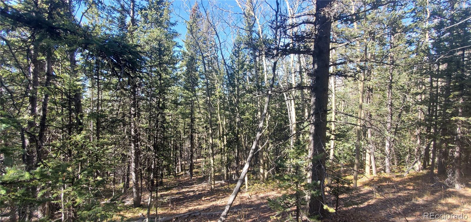 Lot 6581 Ackerman Road Fort Garland CO 81133