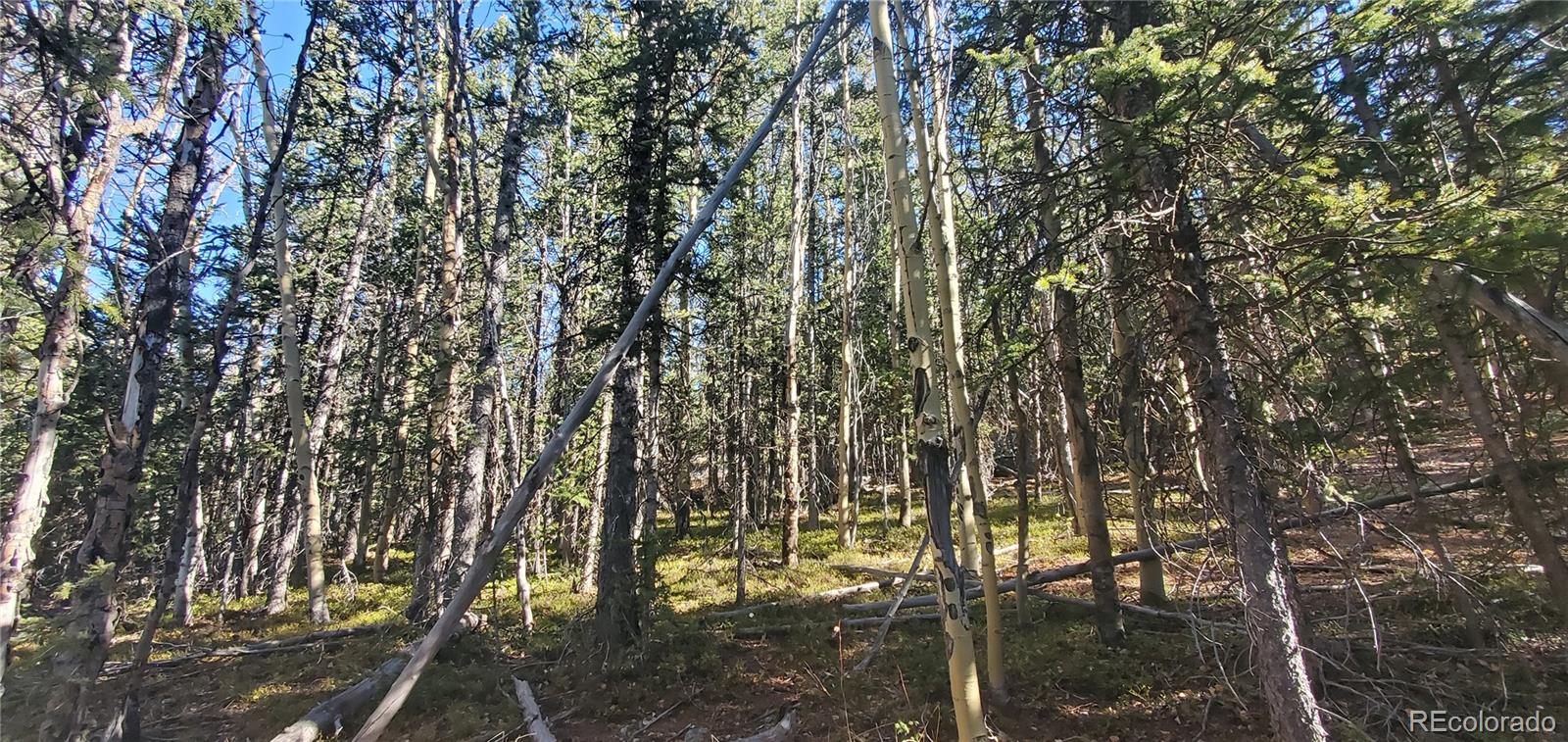 Lot 6581 Ackerman Road Fort Garland CO 81133