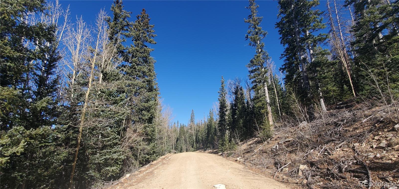 Lot 6581 Ackerman Road Fort Garland CO 81133