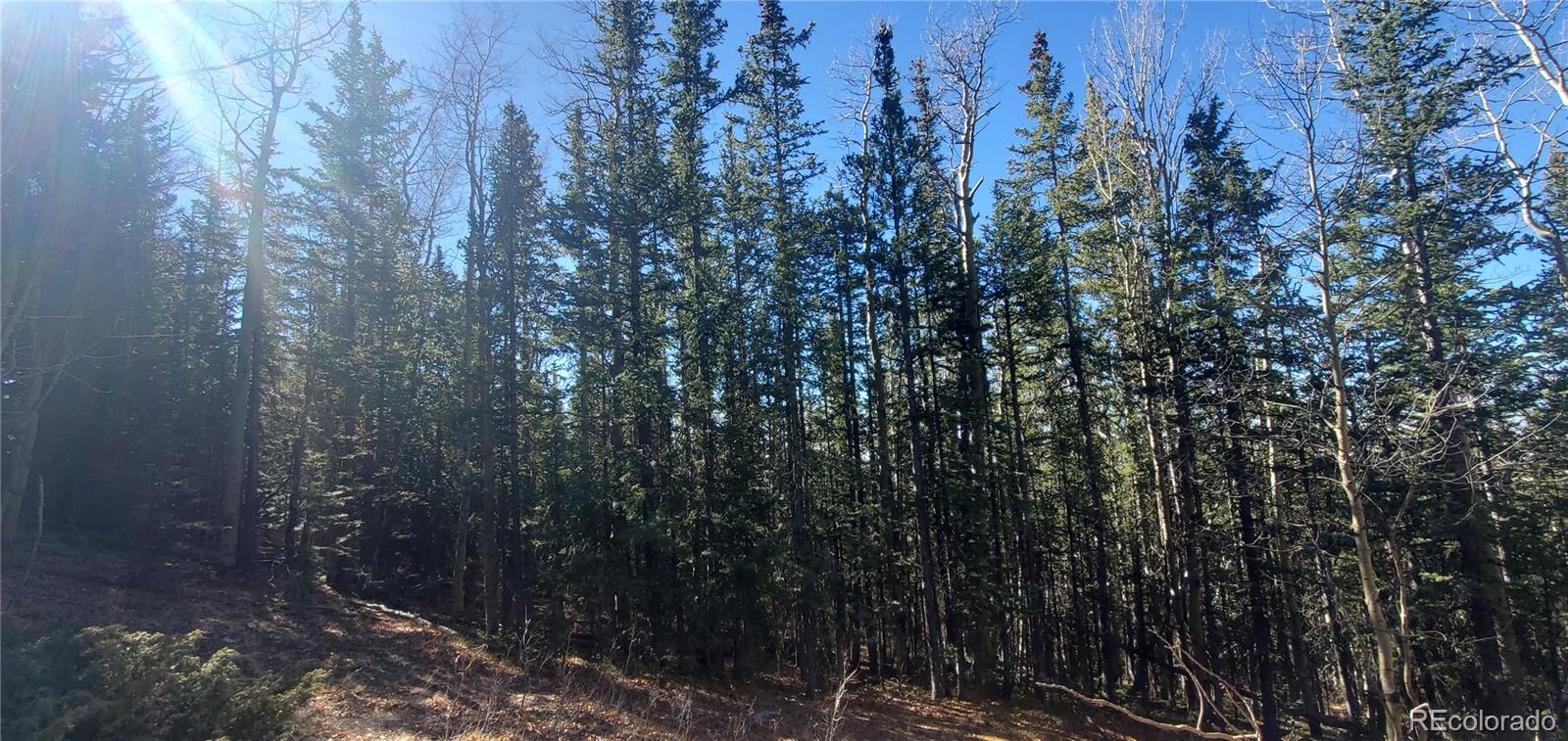 Lot 6581 Ackerman Road Fort Garland CO 81133