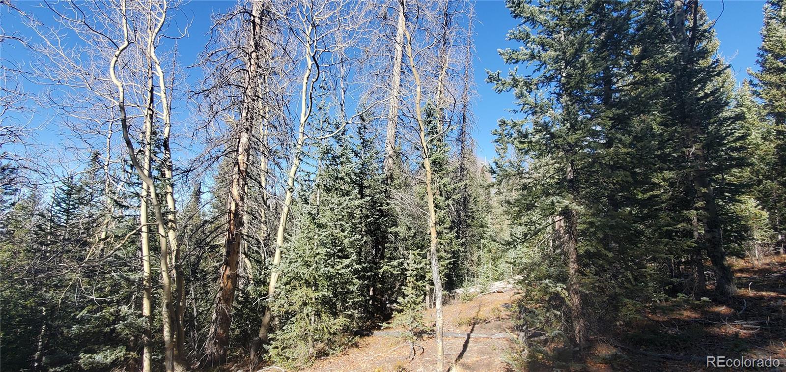 Lot 6581 Ackerman Road Fort Garland CO 81133