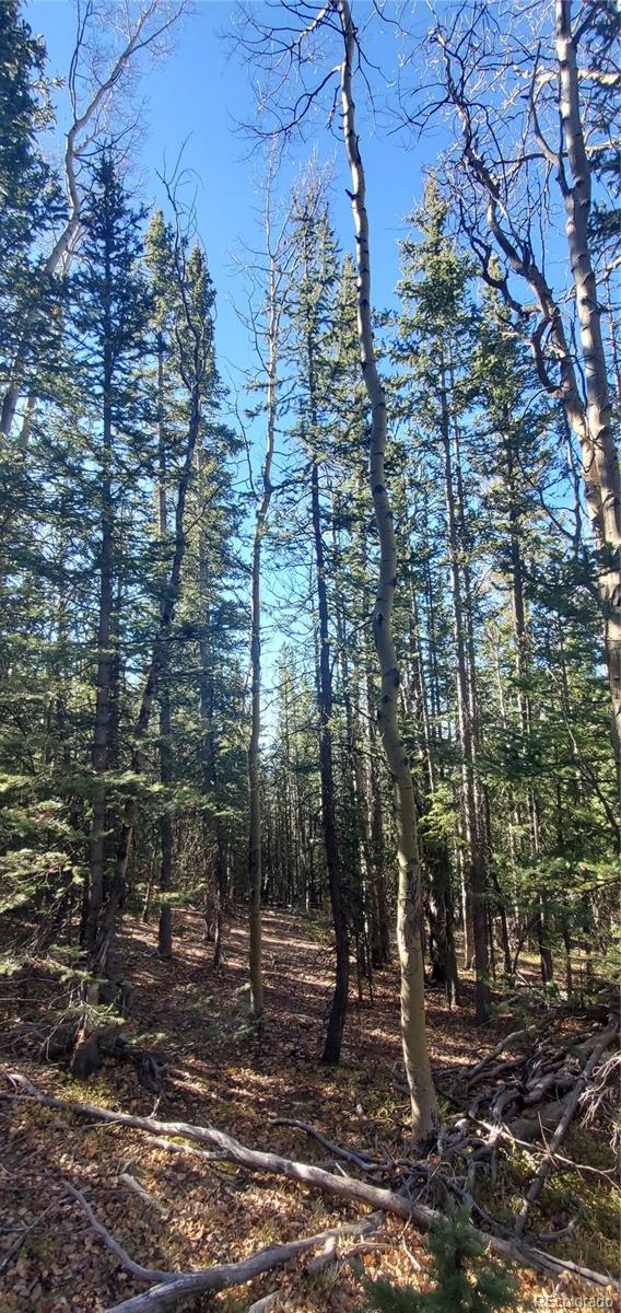 Lot 6581 Ackerman Road Fort Garland CO 81133
