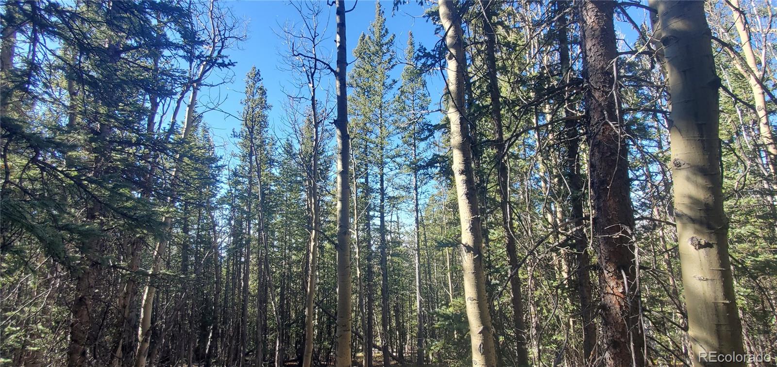 Lot 6581 Ackerman Road Fort Garland CO 81133