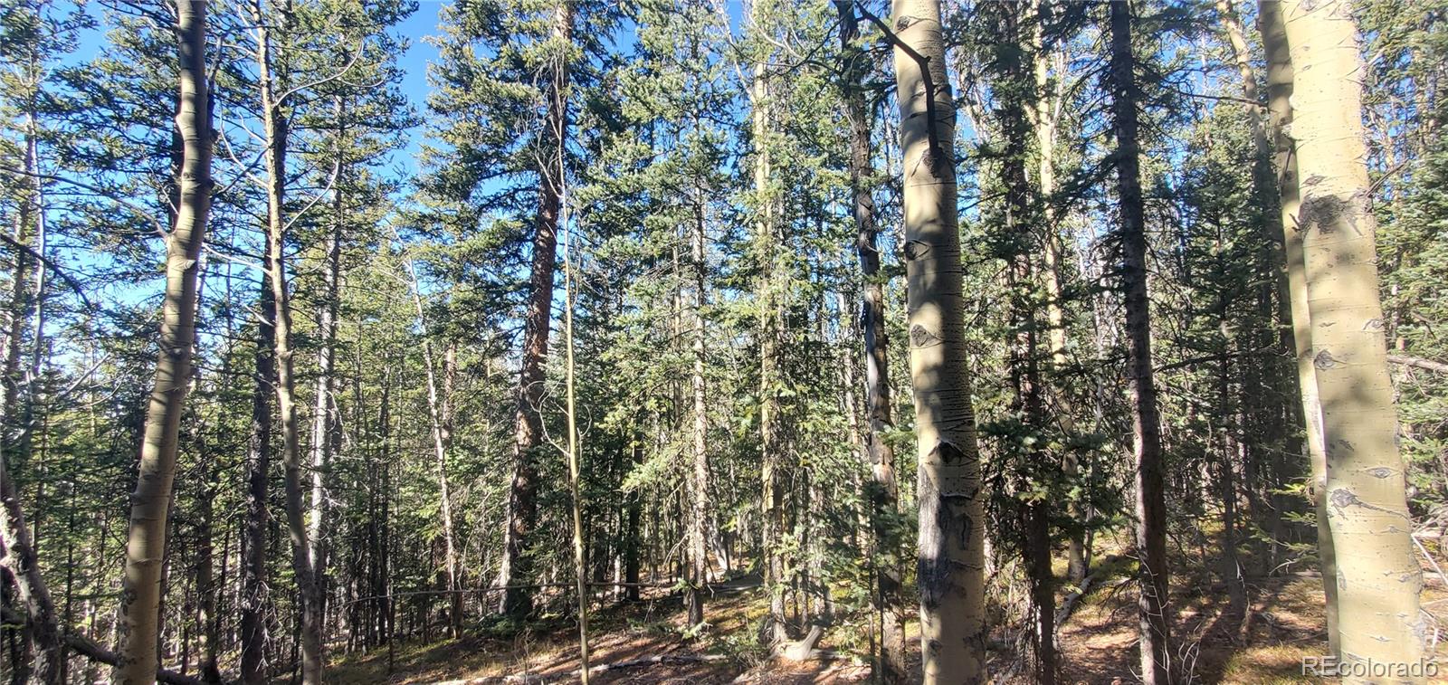 Lot 6581 Ackerman Road Fort Garland CO 81133