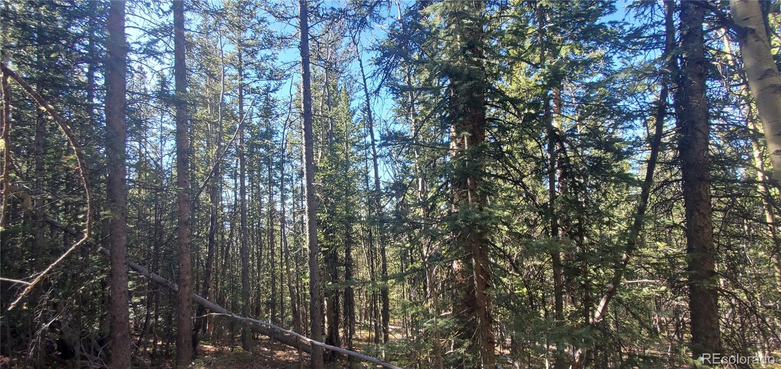Lot 6581 Ackerman Road Fort Garland CO 81133