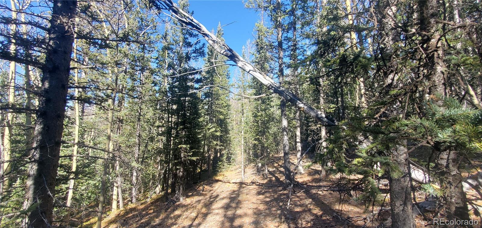 Lot 6581 Ackerman Road Fort Garland CO 81133