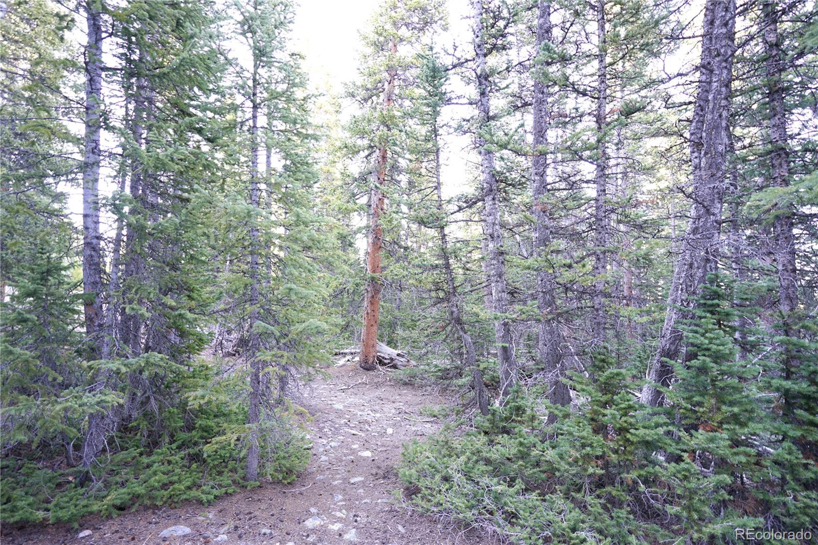 210 Silverheels Place Fairplay CO 80440