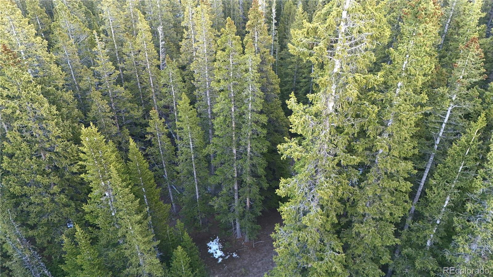 210 Silverheels Place Fairplay CO 80440