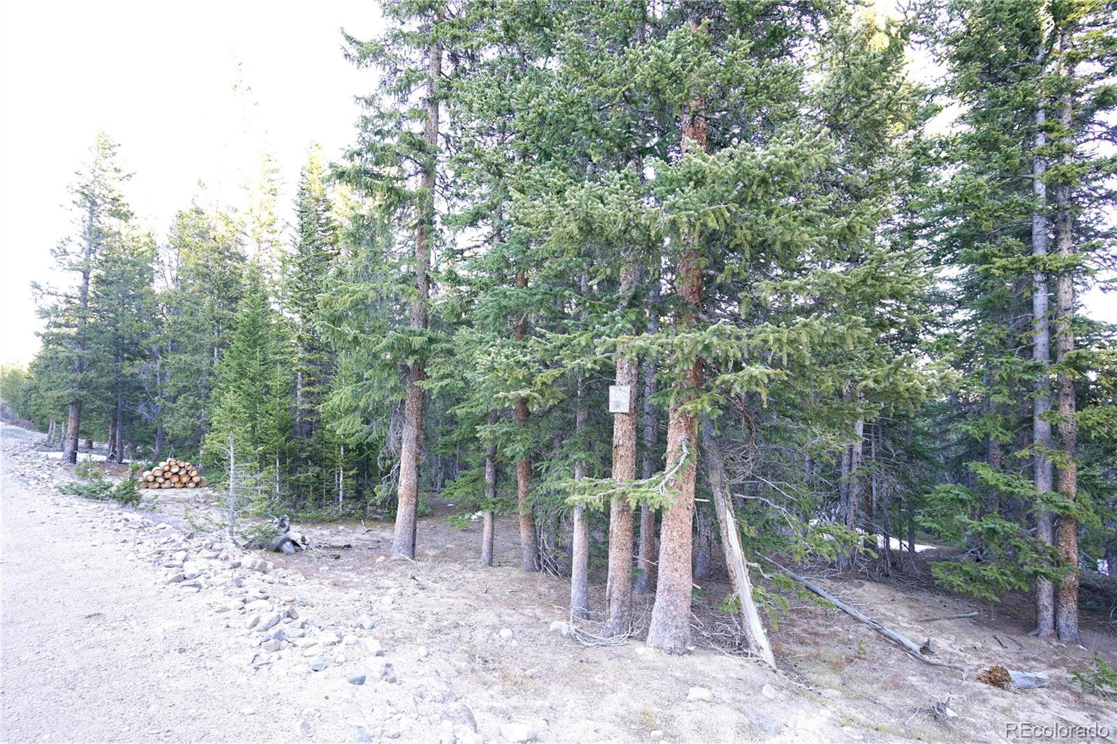 210 Silverheels Place Fairplay CO 80440