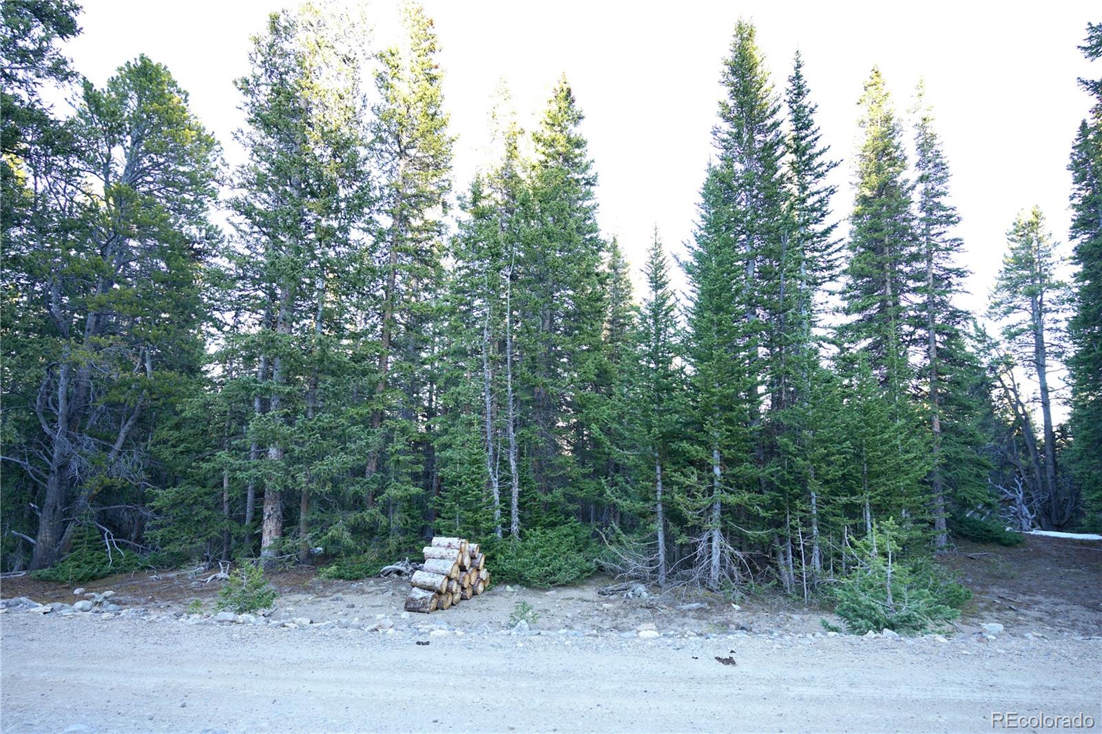 210 Silverheels Place Fairplay CO 80440