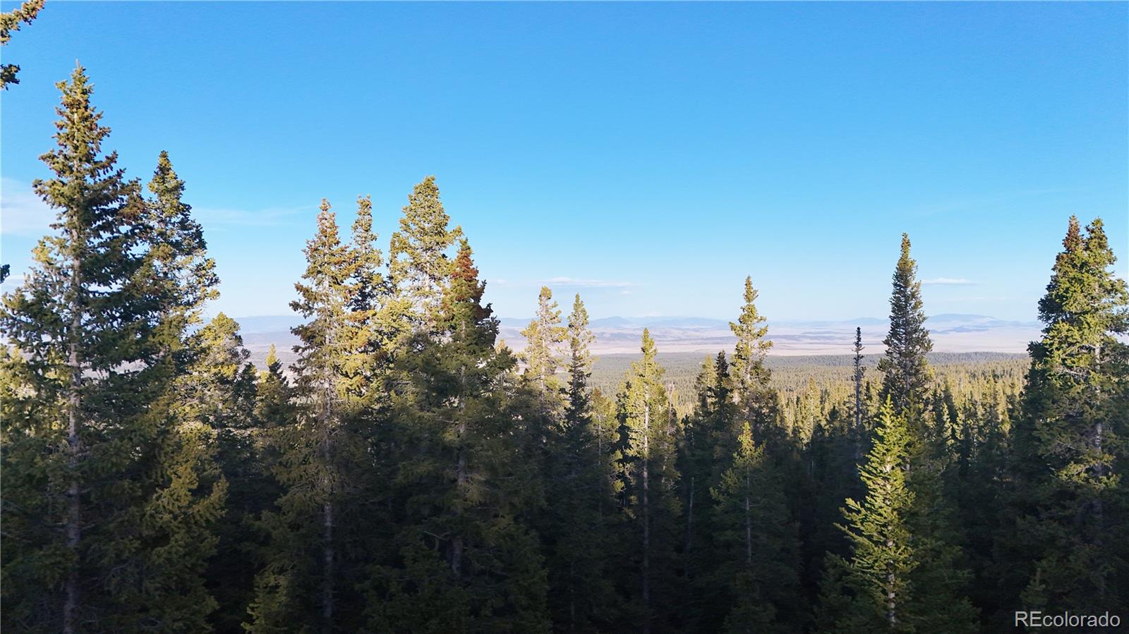 210 Silverheels Place Fairplay CO 80440