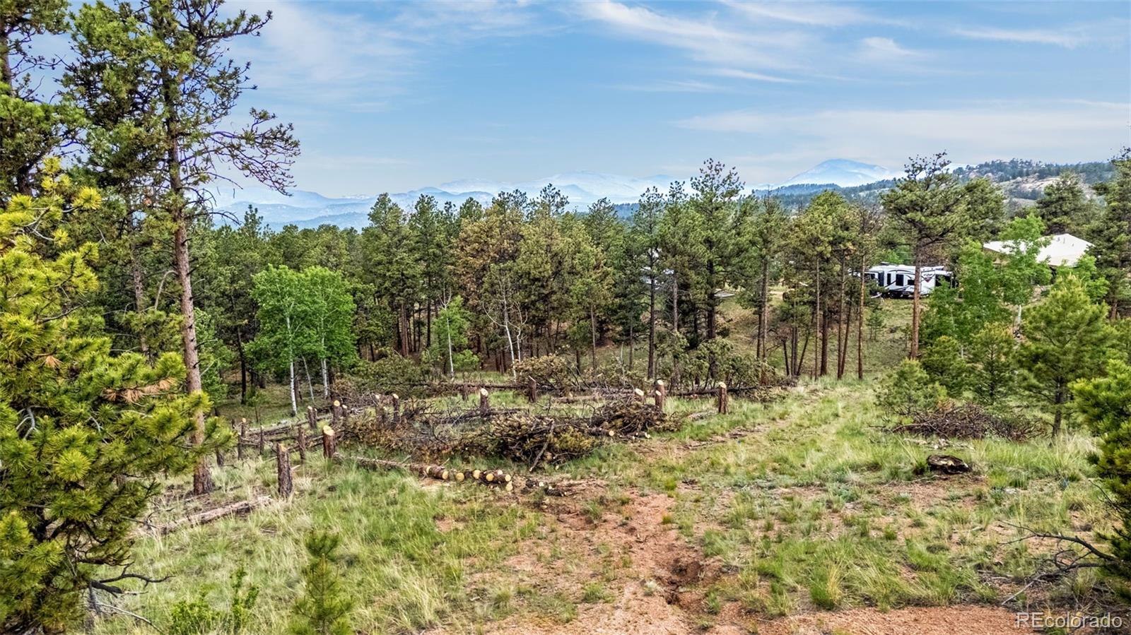 77 Monarch Drive Florissant CO 80816