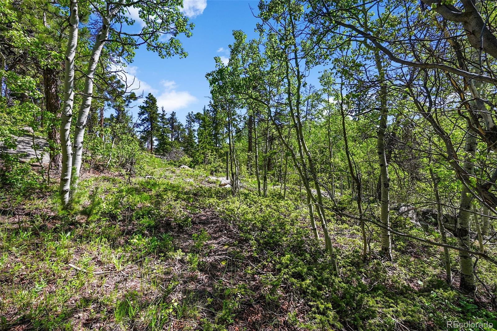 900 Rudi Lane Golden CO 80403