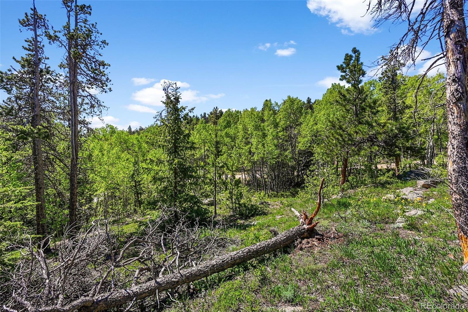 900 Rudi Lane Golden CO 80403