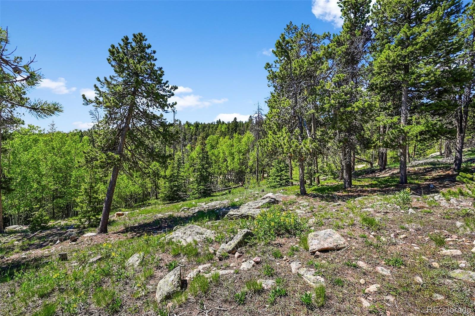 900 Rudi Lane Golden CO 80403