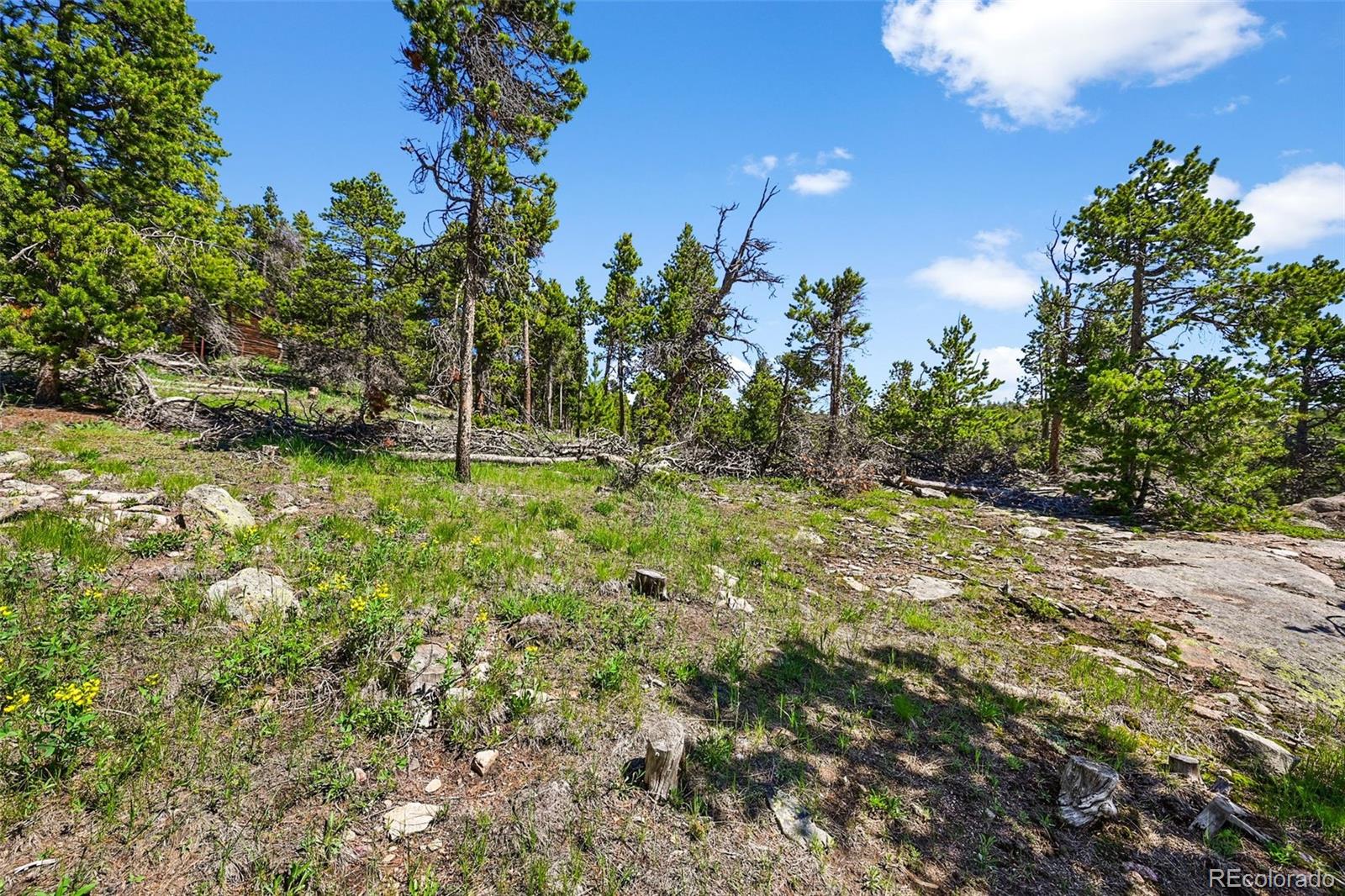 900 Rudi Lane Golden CO 80403