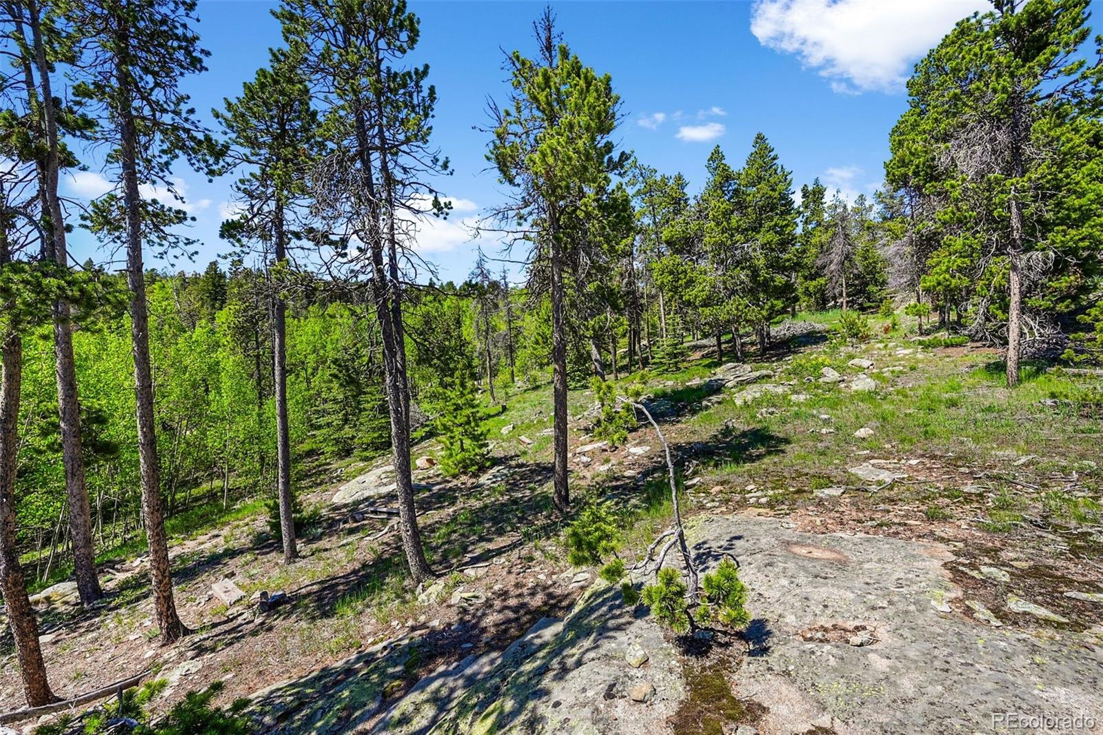 900 Rudi Lane Golden CO 80403