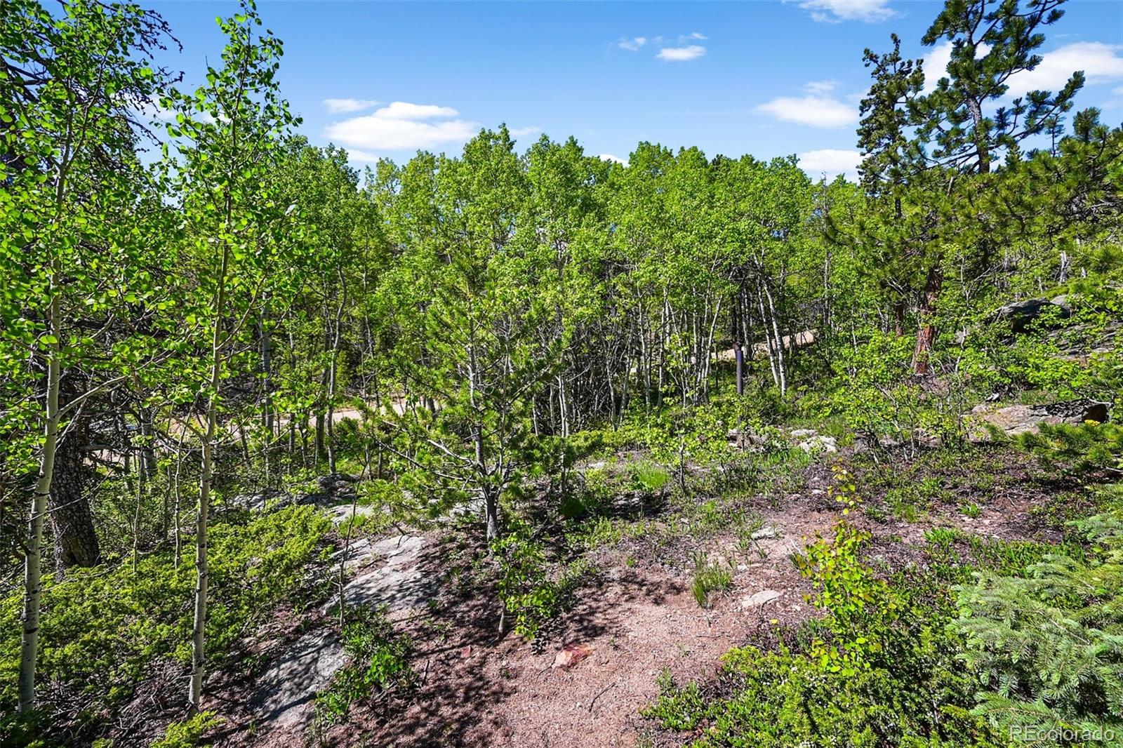 900 Rudi Lane Golden CO 80403