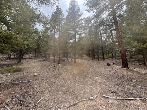 30304 Aspen Turn Buena Vista CO 81211