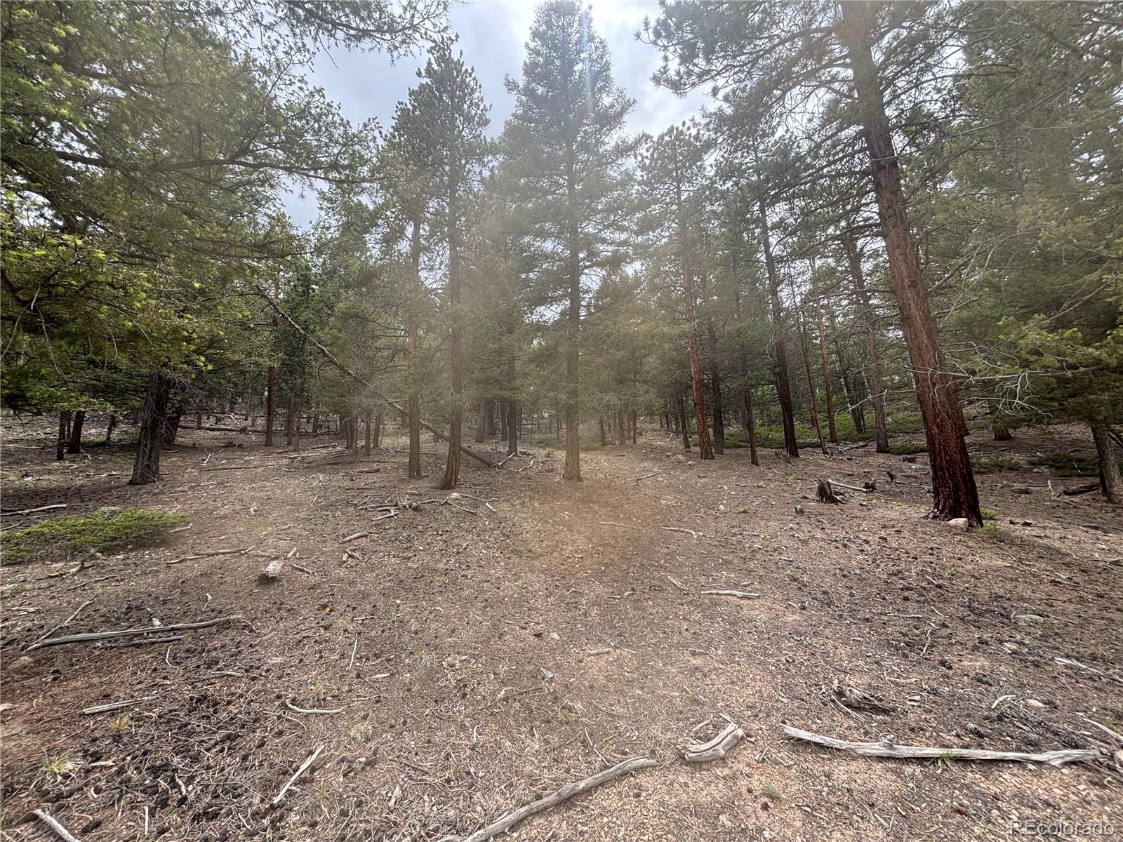 30304 Aspen Turn Buena Vista CO 81211