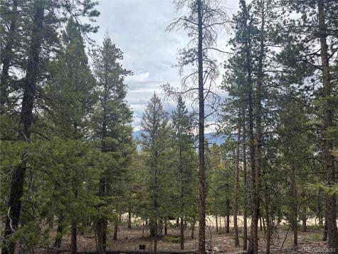 30304 Aspen Turn Buena Vista CO 81211