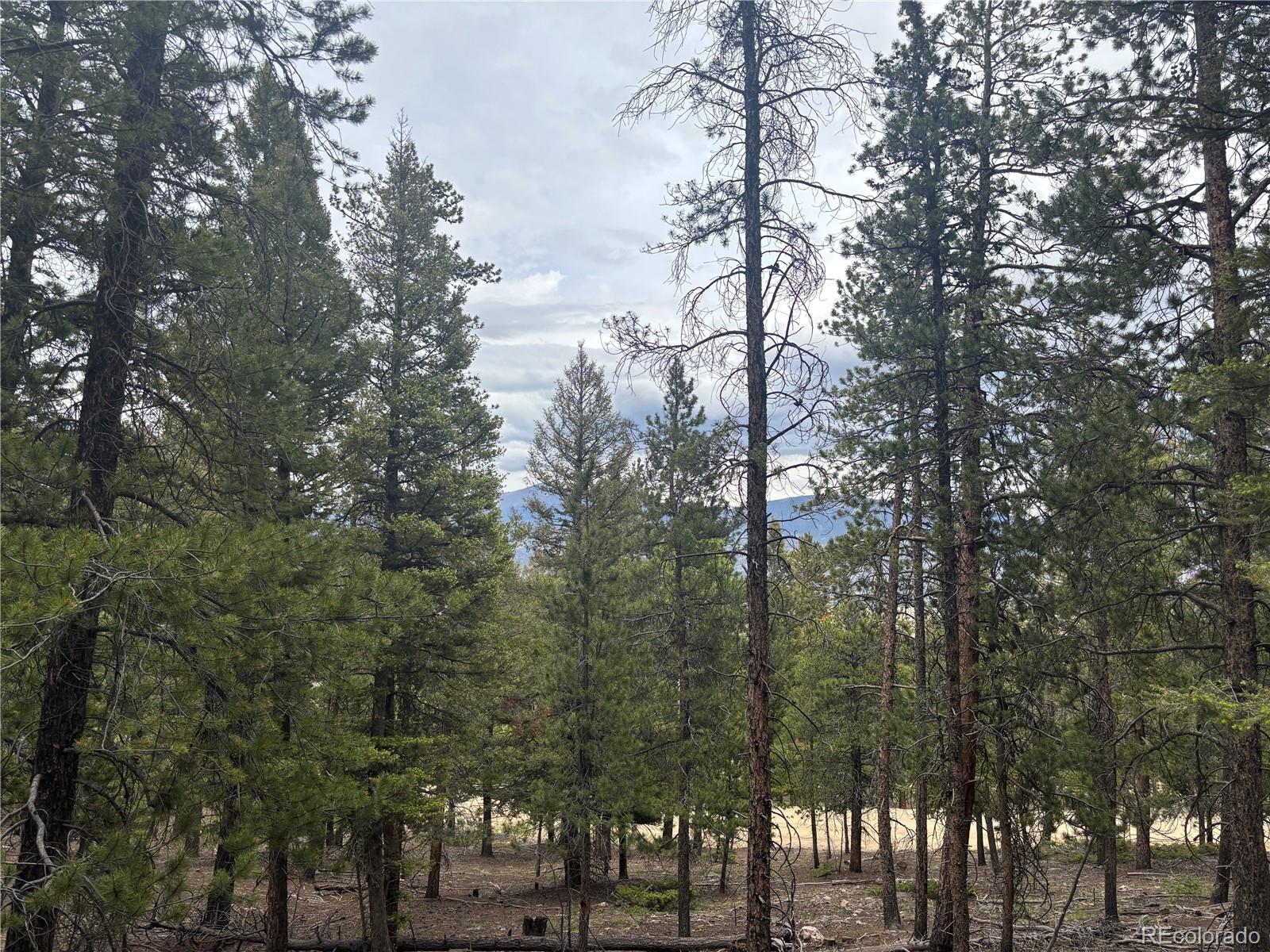 30304 Aspen Turn Buena Vista CO 81211