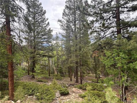 30304 Aspen Turn Buena Vista CO 81211