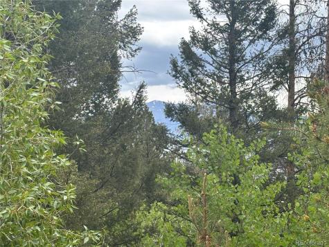 30304 Aspen Turn Buena Vista CO 81211