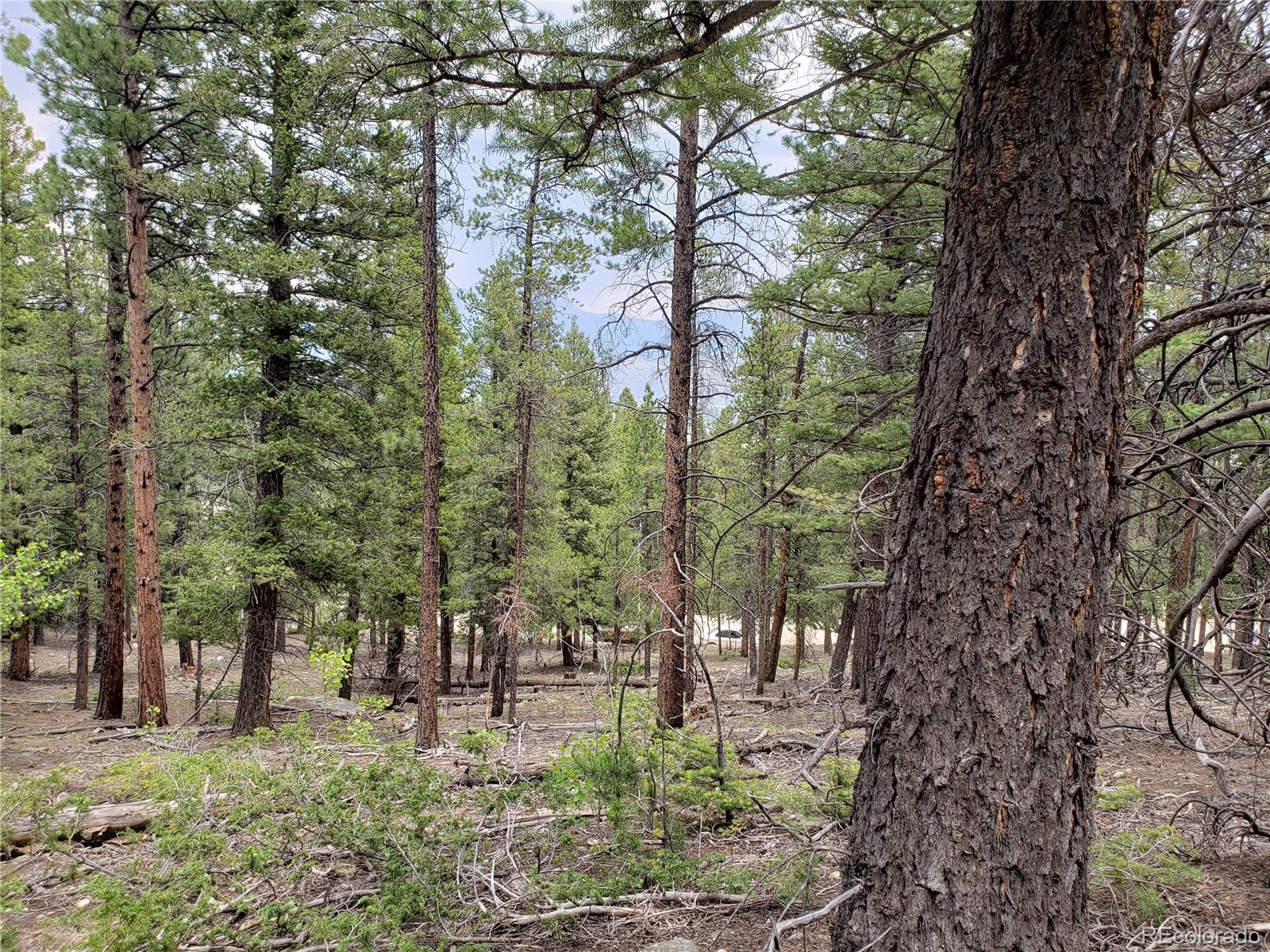 30304 Aspen Turn Buena Vista CO 81211