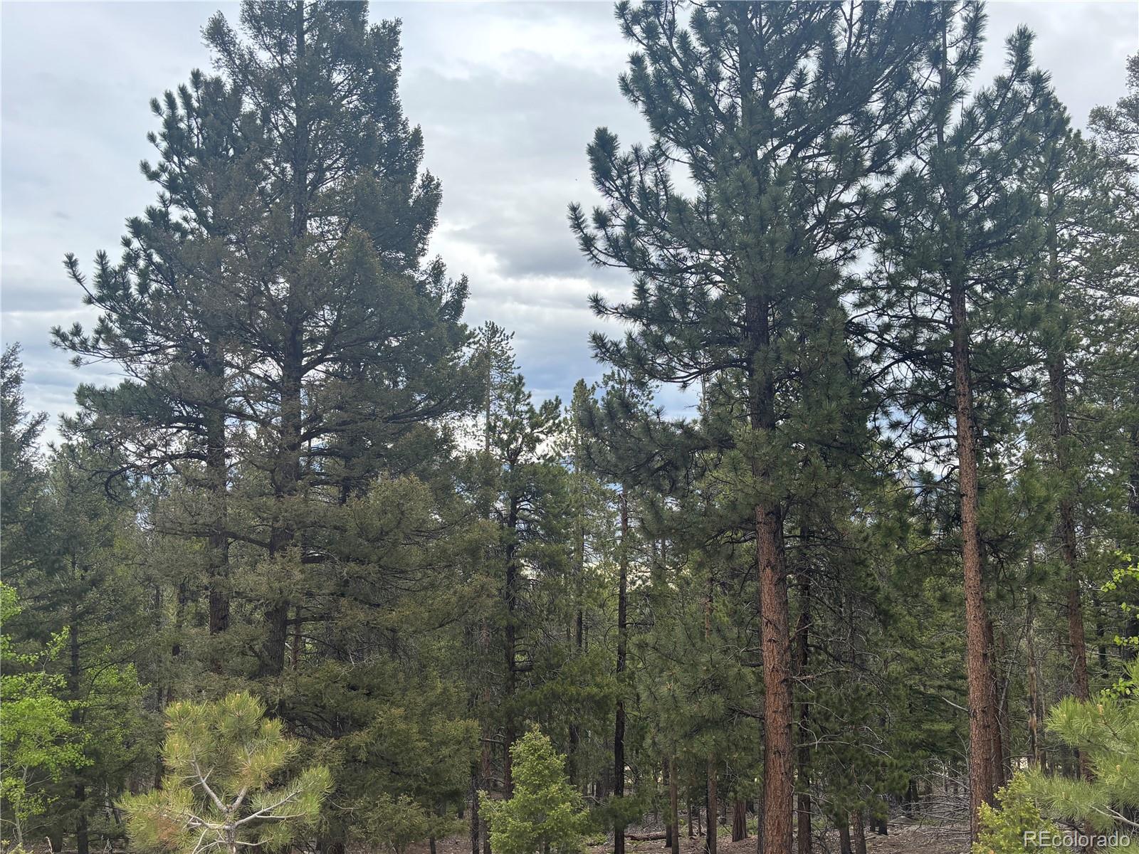 30304 Aspen Turn Buena Vista CO 81211
