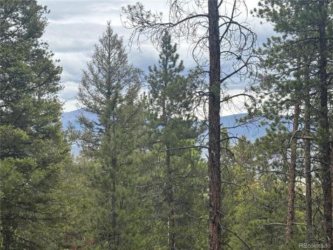 30304 Aspen Turn Buena Vista CO 81211