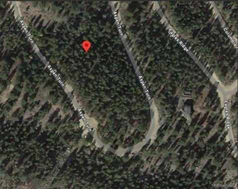 30304 Aspen Turn Buena Vista CO 81211