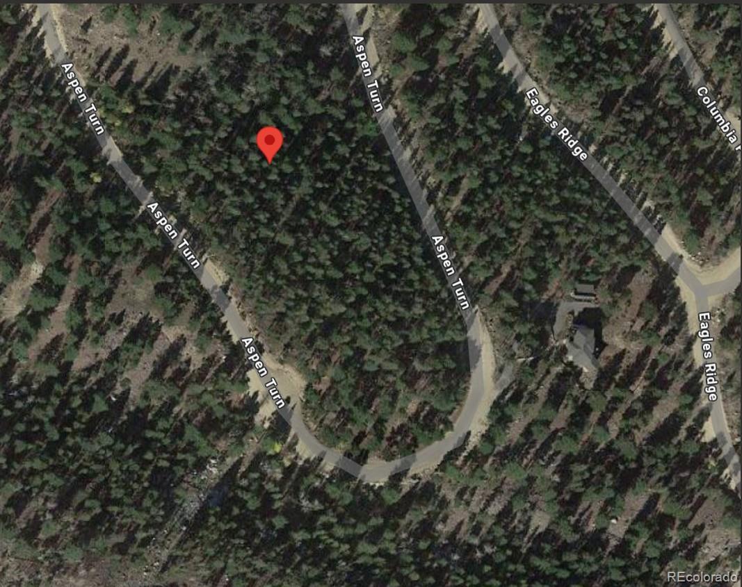 30304 Aspen Turn Buena Vista CO 81211