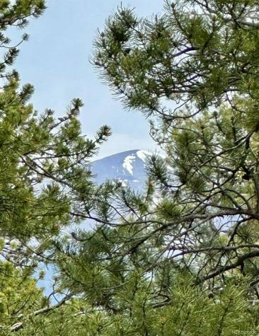 30304 Aspen Turn Buena Vista CO 81211