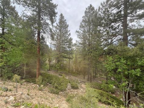 30304 Aspen Turn Buena Vista CO 81211