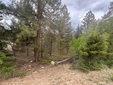 30304 Aspen Turn Buena Vista CO 81211