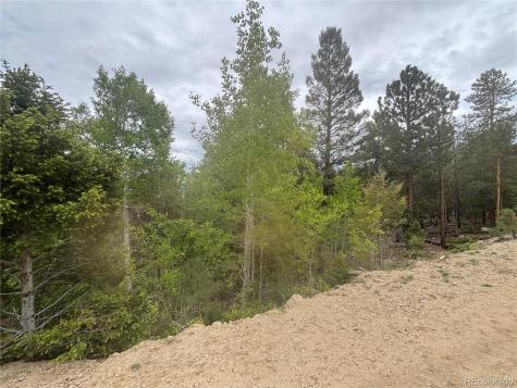 30304 Aspen Turn Buena Vista CO 81211