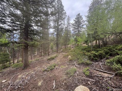 30304 Aspen Turn Buena Vista CO 81211