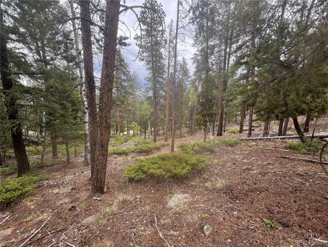 30304 Aspen Turn Buena Vista CO 81211