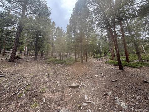 30304 Aspen Turn Buena Vista CO 81211