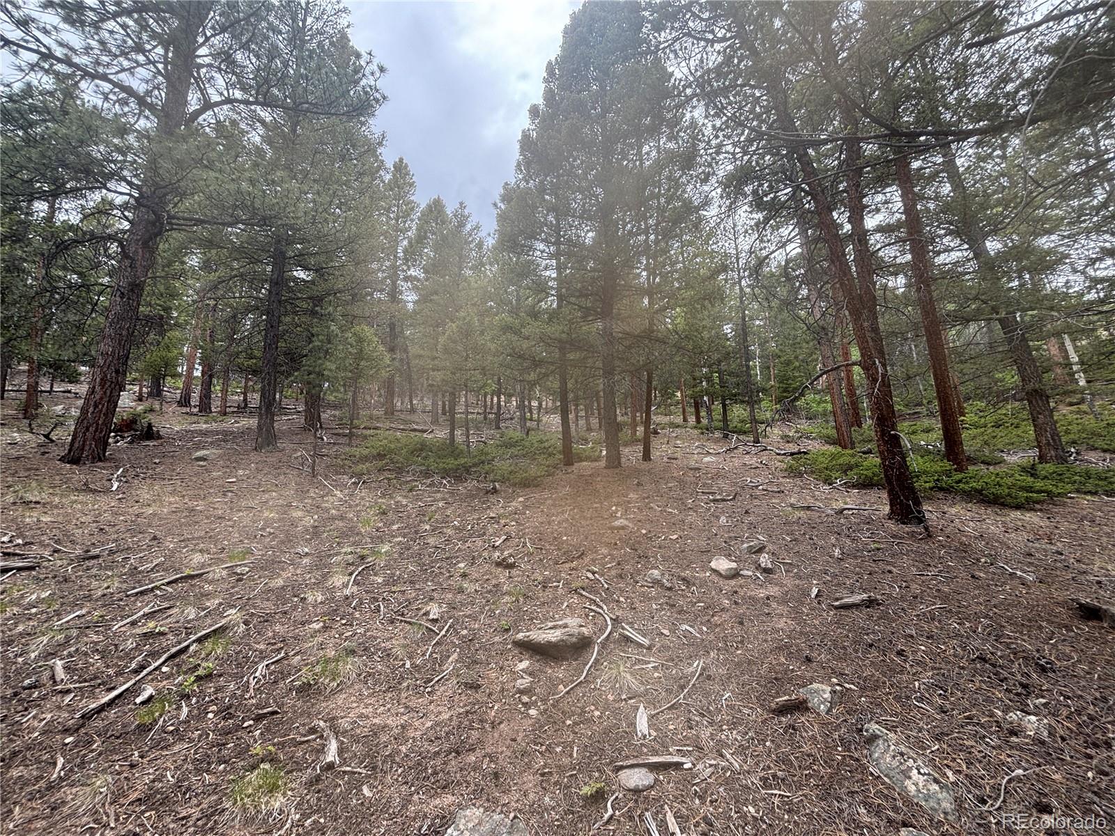 30304 Aspen Turn Buena Vista CO 81211