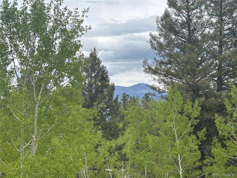 30304 Aspen Turn Buena Vista CO 81211