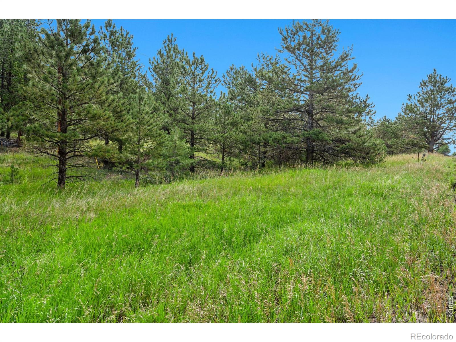 15 Estes Valley View Court Estes Park CO 80517