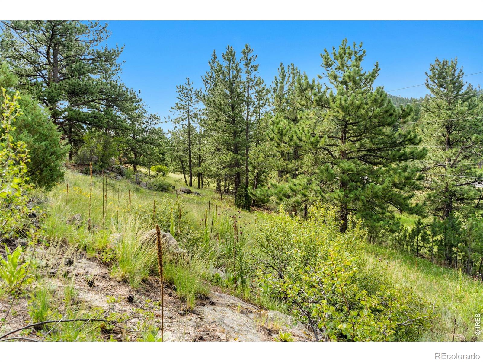 15 Estes Valley View Court Estes Park CO 80517