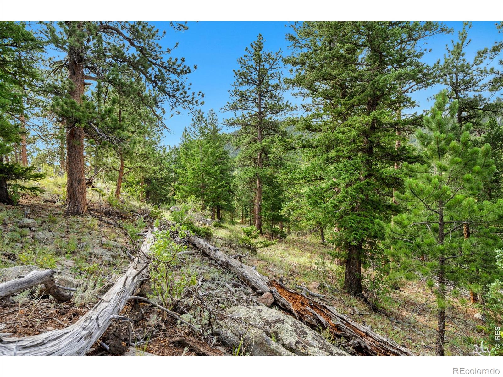 15 Estes Valley View Court Estes Park CO 80517