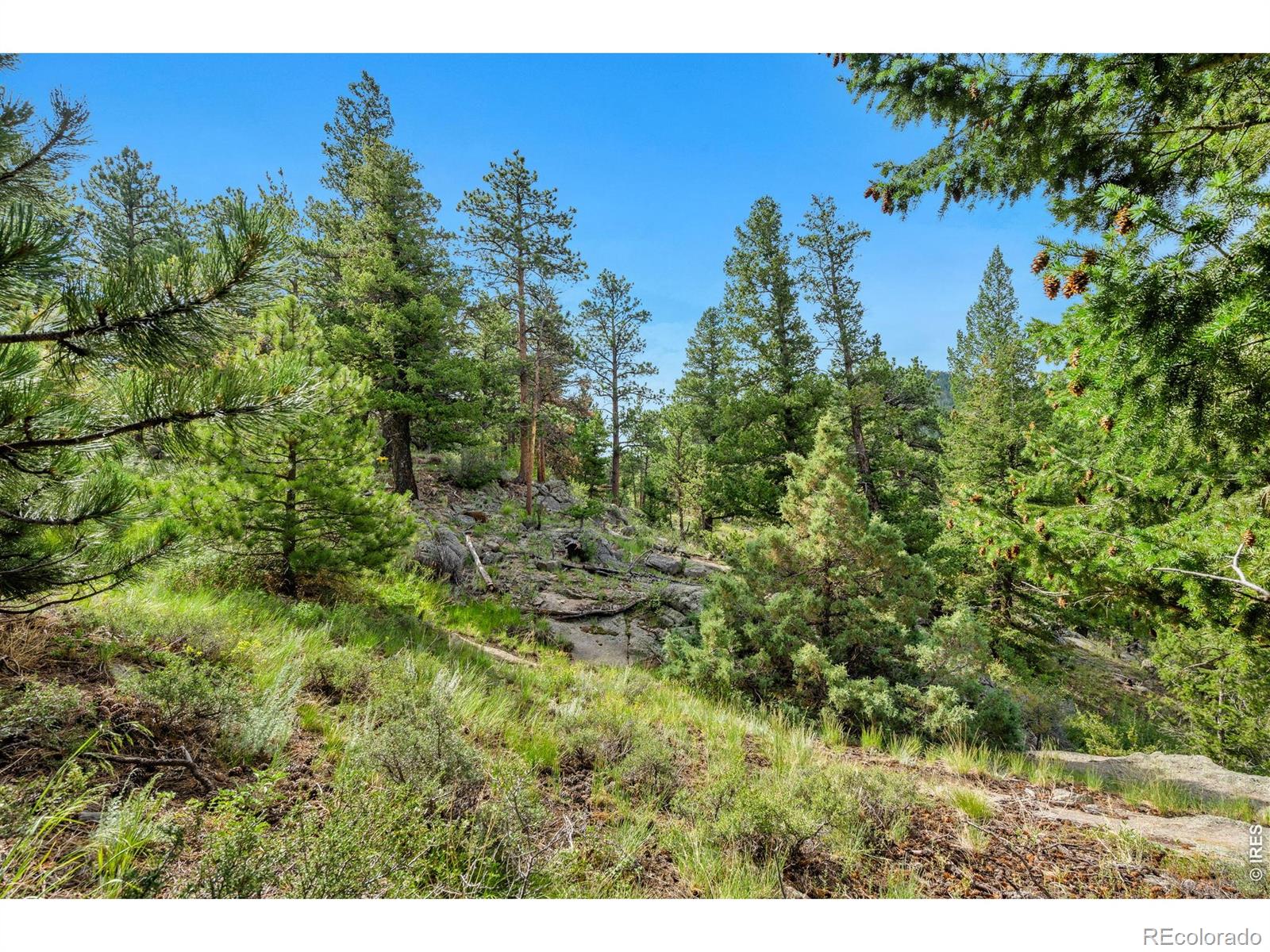 15 Estes Valley View Court Estes Park CO 80517